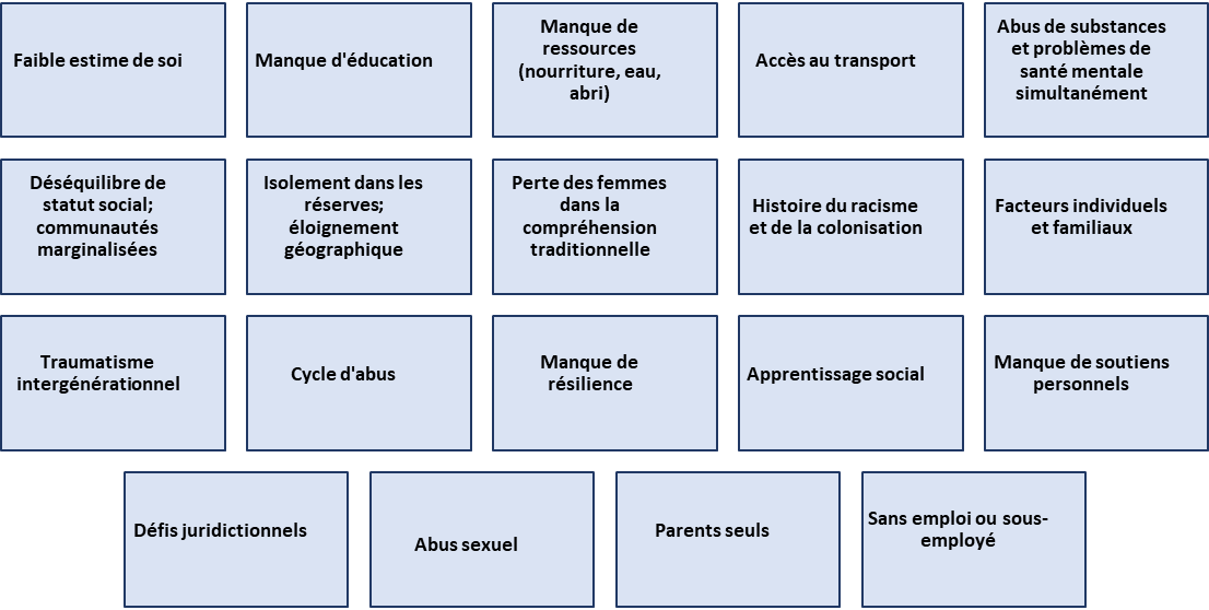 Figure 1. Facteurs contribuant à la vulnérabilité des femmes et des filles à la violence