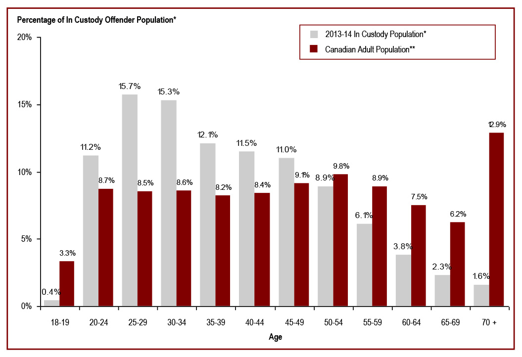 23% of the in custody offender population is aged 50 or over - percentage of In Custody offender population