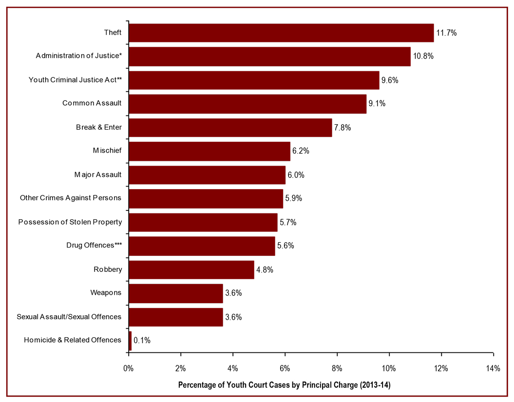 The most common youth court case is theft