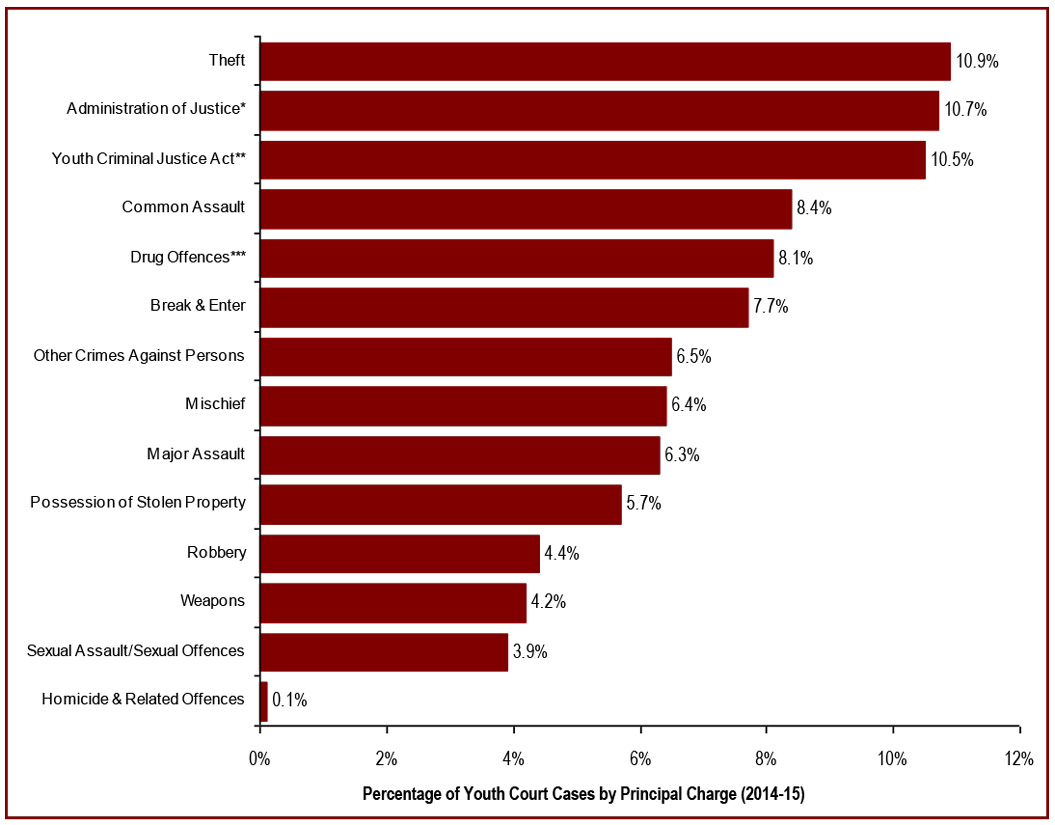 Percentage of Youth Court Cases by Principal Charge (2014-2015)