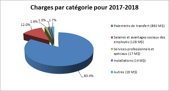 l&rsquo;état des résultats d&rsquo;exploitation  et la position financière nette du Ministère