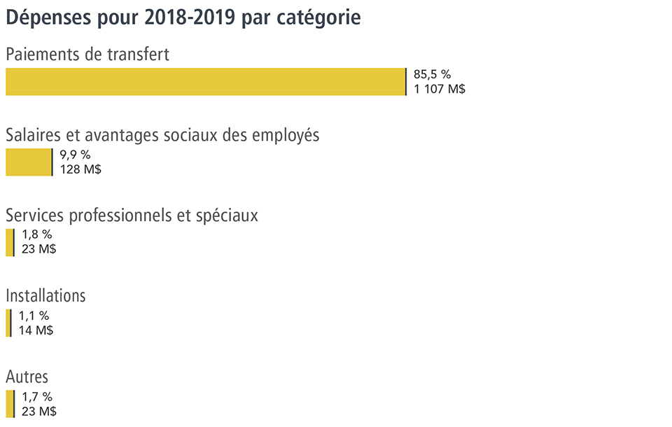 Dépenses pour 2018-2019 par catégorie